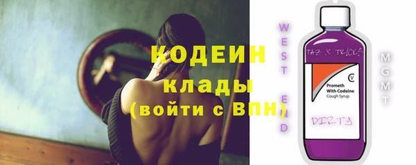 apvp Рославль