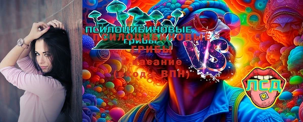 индика Архангельск