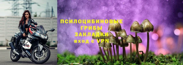 apvp Рославль