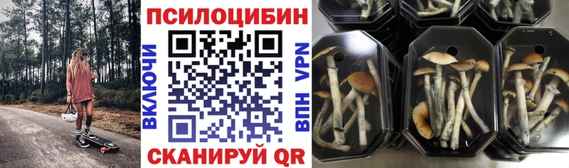 Псилоцибиновые грибы прущие грибы  Себеж 